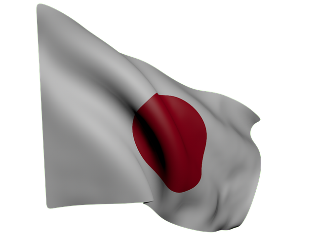 日本の日の丸の国旗