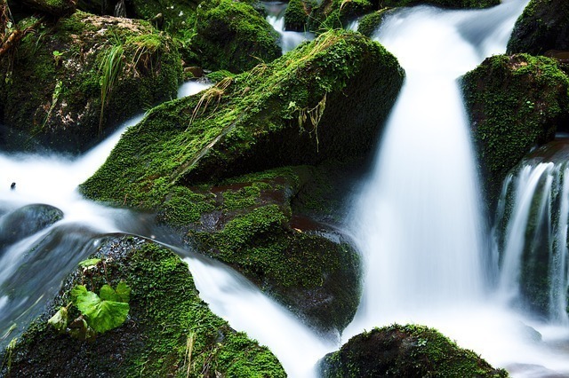 苔の生えた石の間を流れる水をシャッタースピードを落として撮影した画像
