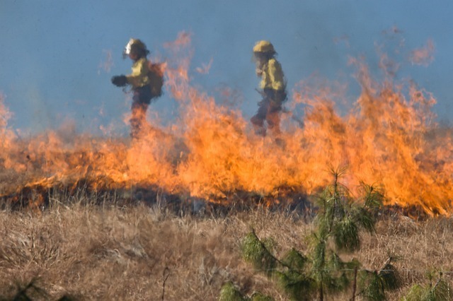 山火事の夢