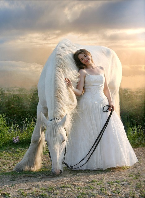 夢占い 馬の夢の意味と心理を診断 乗る 白い馬 競馬 ロバなど セレスティア358