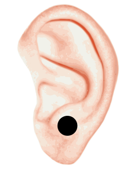 ほくろ 後ろ の 耳たぶ の 【占い】耳のほくろの意味は？運が良いのは右耳？左耳？それとも耳たぶ？