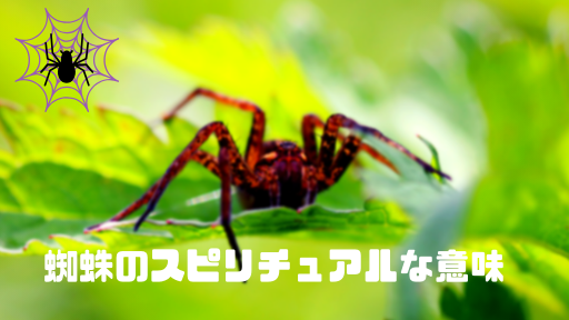 蜘蛛のスピリチュアルな意味とは 朝の蜘蛛と夜の蜘蛛でメッセージが異なる セレスティア358