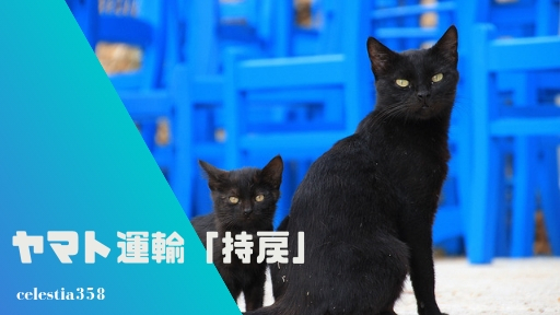 ヤマト運輸の 持戻 持ち戻り とは 持戻の場合の再配達はどうなる セレスティア358 ヤマト運輸の 持戻 持ち戻り とは 持戻の場合の再配達はどうなる セレスティア358