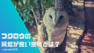 すべての花の画像 無料印刷可能白い フクロウ スピリチュアル すべての花の画像 無料印刷可能白い フクロウ スピリチュアル