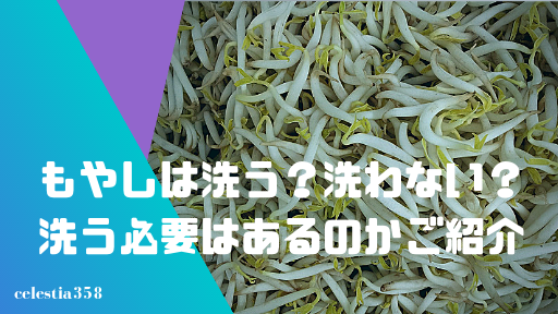 もやしは洗う そのままで洗わない もやしは洗う必要はあるのかご紹介 セレスティア358
