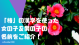 椿 つばき は英語で何と言うの 例文もご紹介 セレスティア358