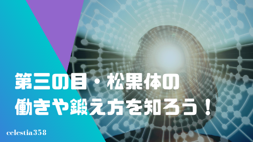 第三の目 サードアイ とは 開眼する方法や覚醒すると起こる変化について解説 セレスティア358