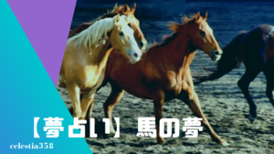 【夢占い】馬の夢の意味と心理を診断！乗る・白い馬・競馬・ロバなど