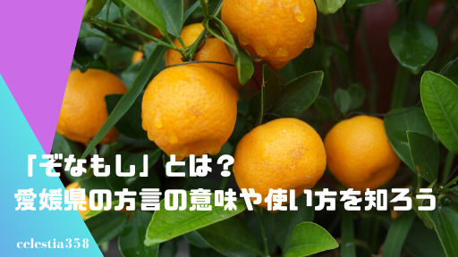 ぞなもし とは 愛媛県の方言の意味や使い方を知ろう セレスティア358