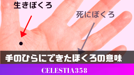 手のひらにできたほくろの意味とは 金運などの運勢がわかるほくろ占いを紹介 セレスティア358